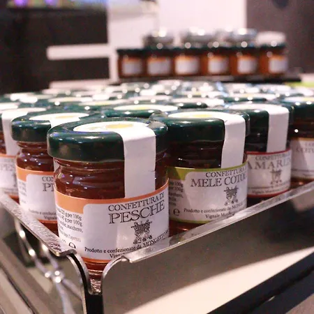 Garibaldi Hotel Verceil